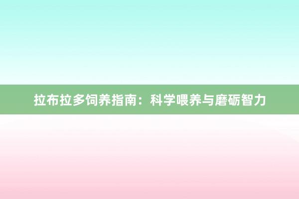 拉布拉多饲养指南:科学喂养与磨砺智力